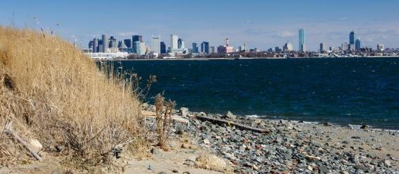 view of boston city skyline from spectacle island in boston harbor